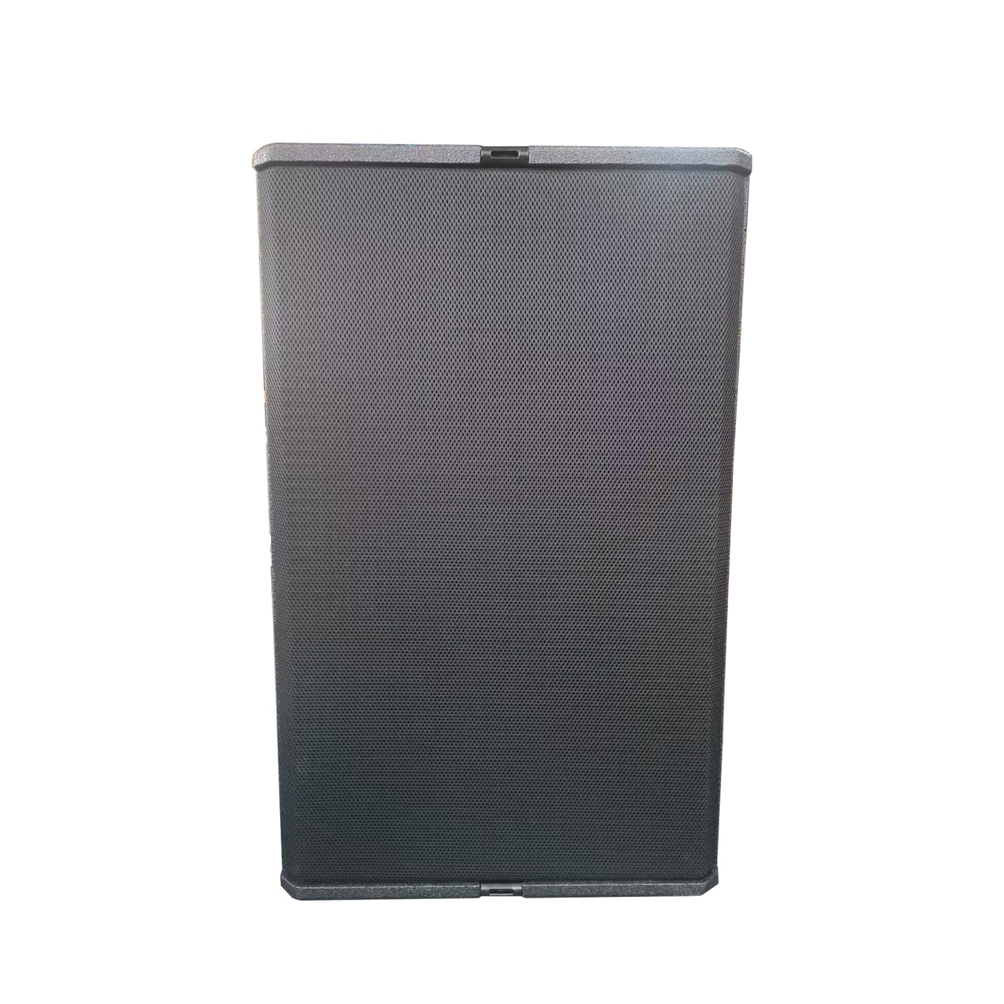T24 High-Power Professional Loudspeaker