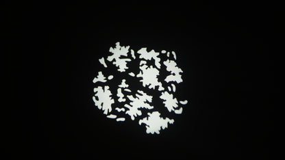 Cut Light