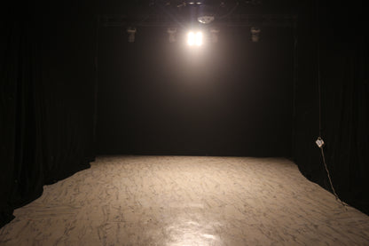Waterproof  4 Eyes Audience Light