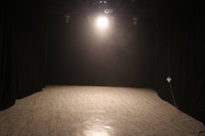 Waterproof  4 Eyes Audience Light